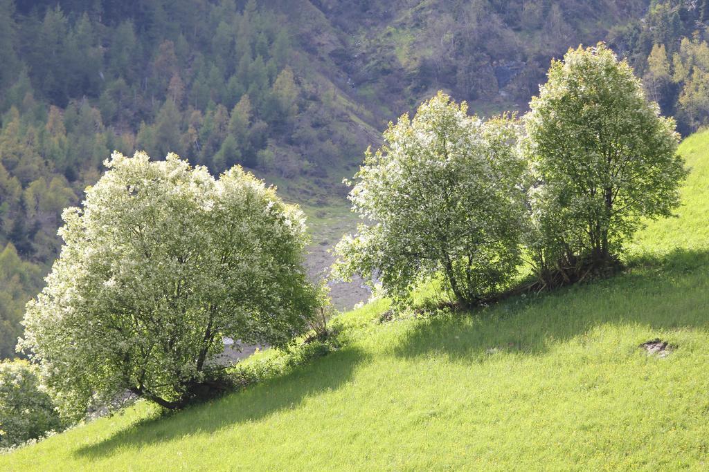 Apart Gletscherblick Каунерталь Экстерьер фото